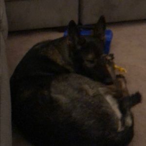 Meet your Posher, Ariel